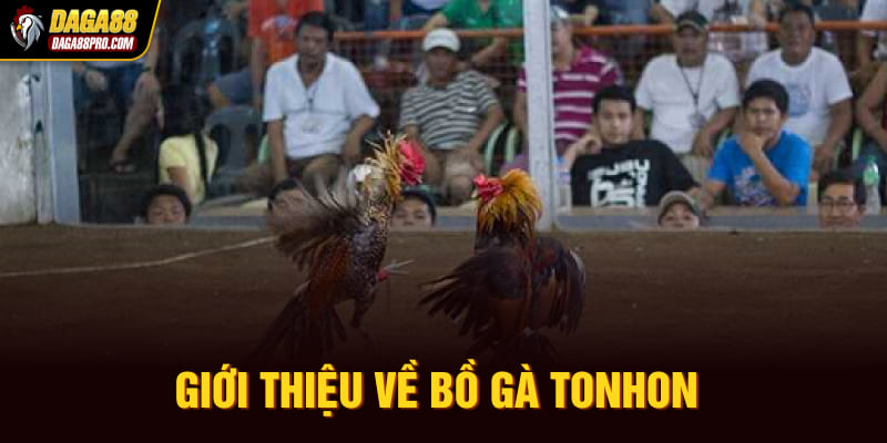 Giới thiệu về bồ gà Tonhon