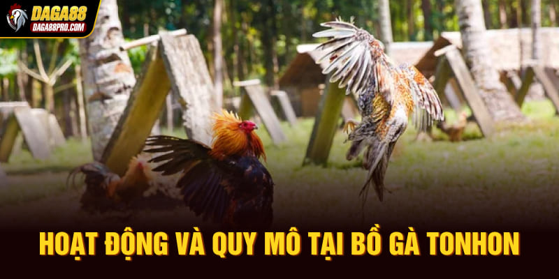 Hoạt động và quy mô tại bồ gà Tonhon