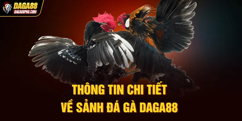 Thông tin chi tiết về sảnh đá gà Daga88
