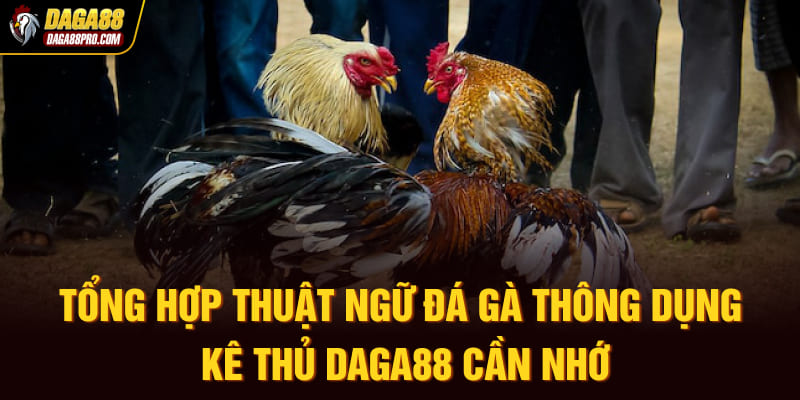 thuật ngữ đá gà